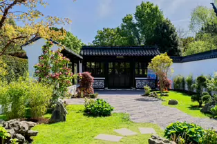 THE IRISH SUZHOU GARDEN IN ST ANNE'S PARK [HAS BEEN RESTORED]-250607-1