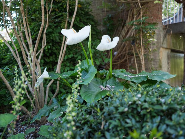 DUBHLINN GARDENS