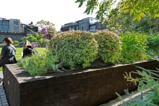 I VISIT THE DUBHLINN GARDENS A FEW TIMES EVERY WEEK [AS DO MANY DUBLINERS]-251280-1
