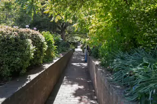 I VISIT THE DUBHLINN GARDENS A FEW TIMES EVERY WEEK [AS DO MANY DUBLINERS]-251281-1