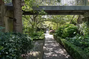I VISIT THE DUBHLINN GARDENS A FEW TIMES EVERY WEEK [AS DO MANY DUBLINERS]-251283-1