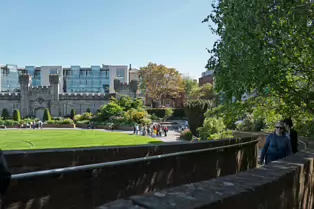 I VISIT THE DUBHLINN GARDENS A FEW TIMES EVERY WEEK [AS DO MANY DUBLINERS]-251284-1