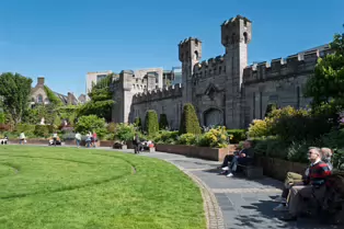 I VISIT THE DUBHLINN GARDENS A FEW TIMES EVERY WEEK [AS DO MANY DUBLINERS]-251293-1