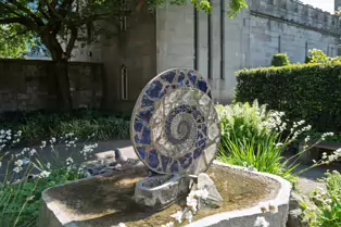 I VISIT THE DUBHLINN GARDENS A FEW TIMES EVERY WEEK [AS DO MANY DUBLINERS]-251304-1
