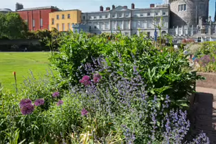 I VISIT THE DUBHLINN GARDENS A FEW TIMES EVERY WEEK [AS DO MANY DUBLINERS]-251314-1