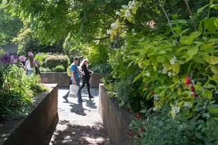 I VISIT THE DUBHLINN GARDENS A FEW TIMES EVERY WEEK [AS DO MANY DUBLINERS]-251322-1