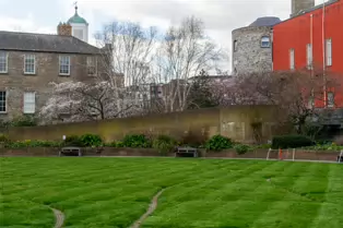 IF YOU ARE IN DUBLIN FOR THE ST PATRICK'S FESTIVAL [YOU SHOULD VISTI DUBLIN CASTLE]-248621-1