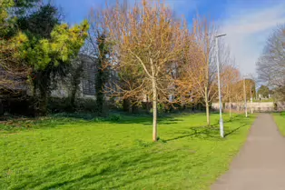 DISCOVERING DUNDRUM'S HIDDEN GEM [ THE SOON TO BE REVITALISED FINSBURY PARK]-248456-1