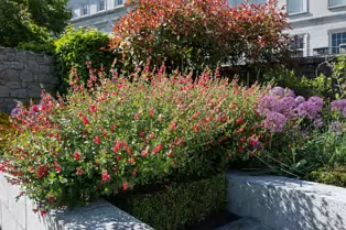 THE GARDA MEMORIAL GARDEN [LOCATED WITHIN THE DUBHLINN GARDENS AT DUBLIN CASTLE]-251261-1