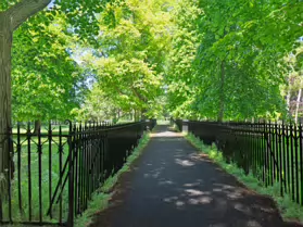 PALMERSTON PUBLIC PARK [IN THE DUBLIN SUBURB OF DARTRY]-251121-1