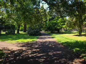 PALMERSTON PUBLIC PARK [IN THE DUBLIN SUBURB OF DARTRY]-251127-1