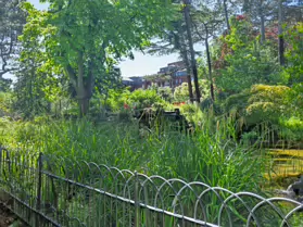 PALMERSTON PUBLIC PARK [IN THE DUBLIN SUBURB OF DARTRY]-251146-1