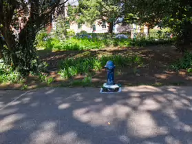 PALMERSTON PUBLIC PARK [IN THE DUBLIN SUBURB OF DARTRY]-251148-1