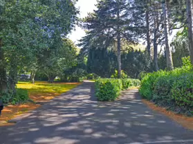 PALMERSTON PUBLIC PARK [IN THE DUBLIN SUBURB OF DARTRY]-251149-1