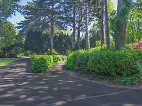 PALMERSTON PUBLIC PARK [IN THE DUBLIN SUBURB OF DARTRY]-251150-1