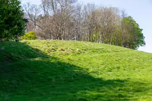 I LIKE PHOTOGRAPHING THE TREES IN PHOENIX PARK [9 APRIL 2025]-249367-1