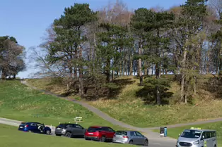 I LIKE PHOTOGRAPHING THE TREES IN PHOENIX PARK [9 APRIL 2025]-249387-1