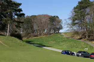 I LIKE PHOTOGRAPHING THE TREES IN PHOENIX PARK [9 APRIL 2025]-249388-1