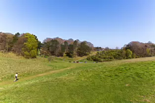 I LIKE PHOTOGRAPHING THE TREES IN PHOENIX PARK [9 APRIL 2025]-249397-1