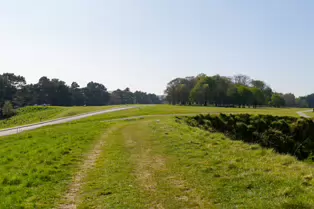 I LIKE PHOTOGRAPHING THE TREES IN PHOENIX PARK [9 APRIL 2025]-249399-1