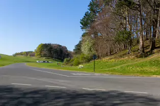 I LIKE PHOTOGRAPHING THE TREES IN PHOENIX PARK [9 APRIL 2025]-249415-1