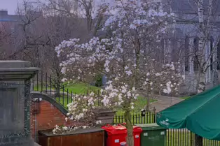 ST PATRICK'S PUBLIC PARK [BESIDE THE FAMOUS AND HISTORIC CATHEDRAL]-248571-1
