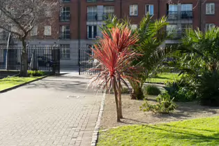 ST PATRICK'S PUBLIC PARK [BESIDE THE FAMOUS AND HISTORIC CATHEDRAL]-248588-1