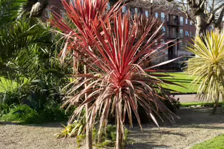 ST PATRICK'S PUBLIC PARK [BESIDE THE FAMOUS AND HISTORIC CATHEDRAL]-248589-1