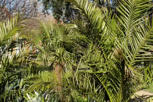 ST PATRICK'S PUBLIC PARK [BESIDE THE FAMOUS AND HISTORIC CATHEDRAL]-248590-1