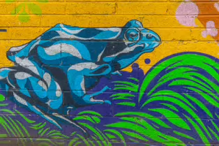 HERBERT HABITAT [STREET ART AT THE HIVE IN HERBERT PARK]-247361-1