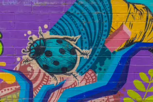 HERBERT HABITAT [STREET ART AT THE HIVE IN HERBERT PARK]-247362-1