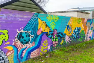 HERBERT HABITAT [STREET ART AT THE HIVE IN HERBERT PARK]-247363-1