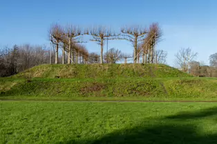 SANTRY DEMESNE PUBLIC PARK [THE PHOENIX FOLLY AND THE VIEWING AREA]-246937-1