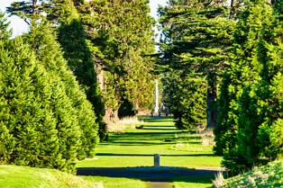 SANTRY DEMESNE PUBLIC PARK [THE PHOENIX FOLLY AND THE VIEWING AREA]-246943-1