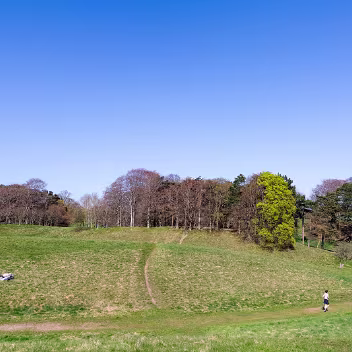 TREES IN PHOENIX PARK The park contains various woodland habitats, and also scattered trees within parkland areas. There has been extensive...