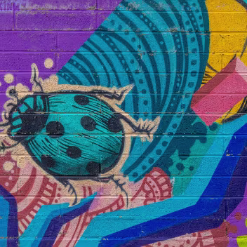 MURAL IN HERBERT PARK 7 FEBRUARY 2025 "Herbert Habitat," a vibrant piece of street art, graces the walls of The Hive in Herbert Park, Dublin 4. Commissioned...