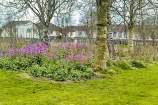 ASHINGTON PARK AND PELLETSTOWN STATION [31 MARCH 2025]-248990-1