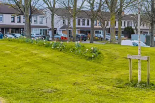 ASHINGTON PARK AND PELLETSTOWN STATION [31 MARCH 2025]-248993-1