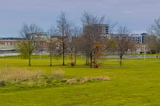 ASHINGTON PARK AND PELLETSTOWN STATION [31 MARCH 2025]-248995-1