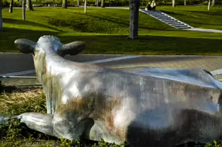 ENJOYING THE SUN IS A SCULPTURE OF A COW BY JACKIE McKENNA [TODAY I USED A SIGMA QUATTRO Dp3]-248968-1