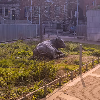 BY JACKIE McKENNA Jackie McKenna's 'Ag Crú na Gréine “Enjoying the Sun”' (2003) is a life-size bronze sculpture of a reclining cow....