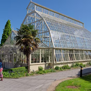GLASSHOUSES