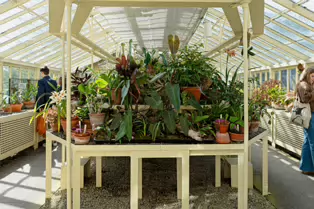 THE GLASSHOUSES IN THE BOTANIC GARDENS IN DUBLIN [3 MAY 2025]-250321-1