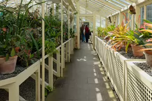 THE GLASSHOUSES IN THE BOTANIC GARDENS IN DUBLIN [3 MAY 2025]-250323-1