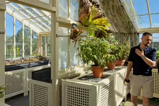 THE GLASSHOUSES IN THE BOTANIC GARDENS IN DUBLIN [3 MAY 2025]-250325-1
