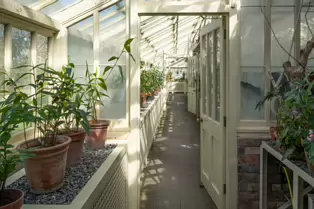 THE GLASSHOUSES IN THE BOTANIC GARDENS IN DUBLIN [3 MAY 2025]-250326-1