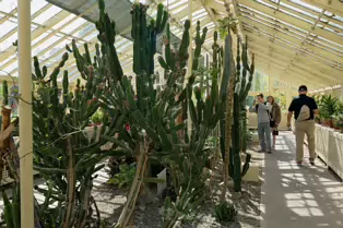 THE GLASSHOUSES IN THE BOTANIC GARDENS IN DUBLIN [3 MAY 2025]-250328-1