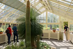 THE GLASSHOUSES IN THE BOTANIC GARDENS IN DUBLIN [3 MAY 2025]-250329-1