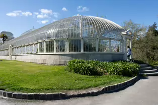 THE GLASSHOUSES IN THE BOTANIC GARDENS IN DUBLIN [3 MAY 2025]-250335-1