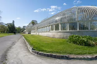 THE GLASSHOUSES IN THE BOTANIC GARDENS IN DUBLIN [3 MAY 2025]-250336-1